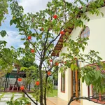 Nhà vườn 1 phòng ngủ 1.600m² Hàm Chính 1 tỷ 790 - Ảnh thu nhỏ 1