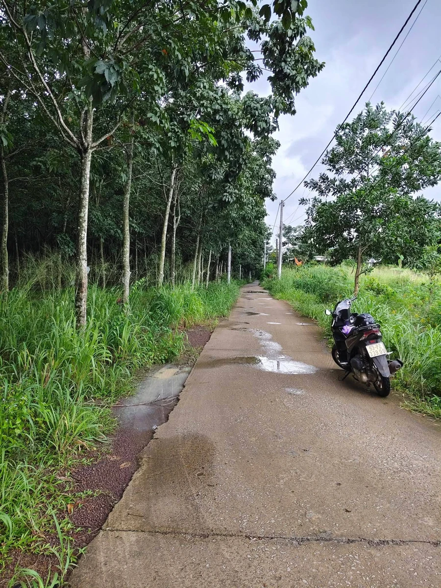 Bán lô đất Tân Thành 390 m² giá 1 tỷ - Ảnh thu nhỏ 2