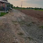 Bán đất thổ cư 125m² giá 169 triệu Châu Thành Tây Ninh - Ảnh thu nhỏ 1