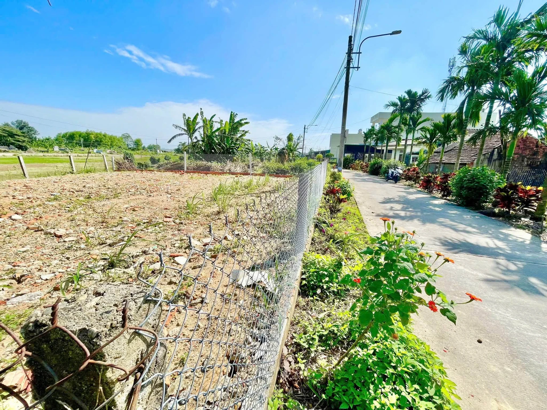 Bán 2 lô đất mặt hẻm Làng Nghề 110m2 Bình Tân - Ảnh 1
