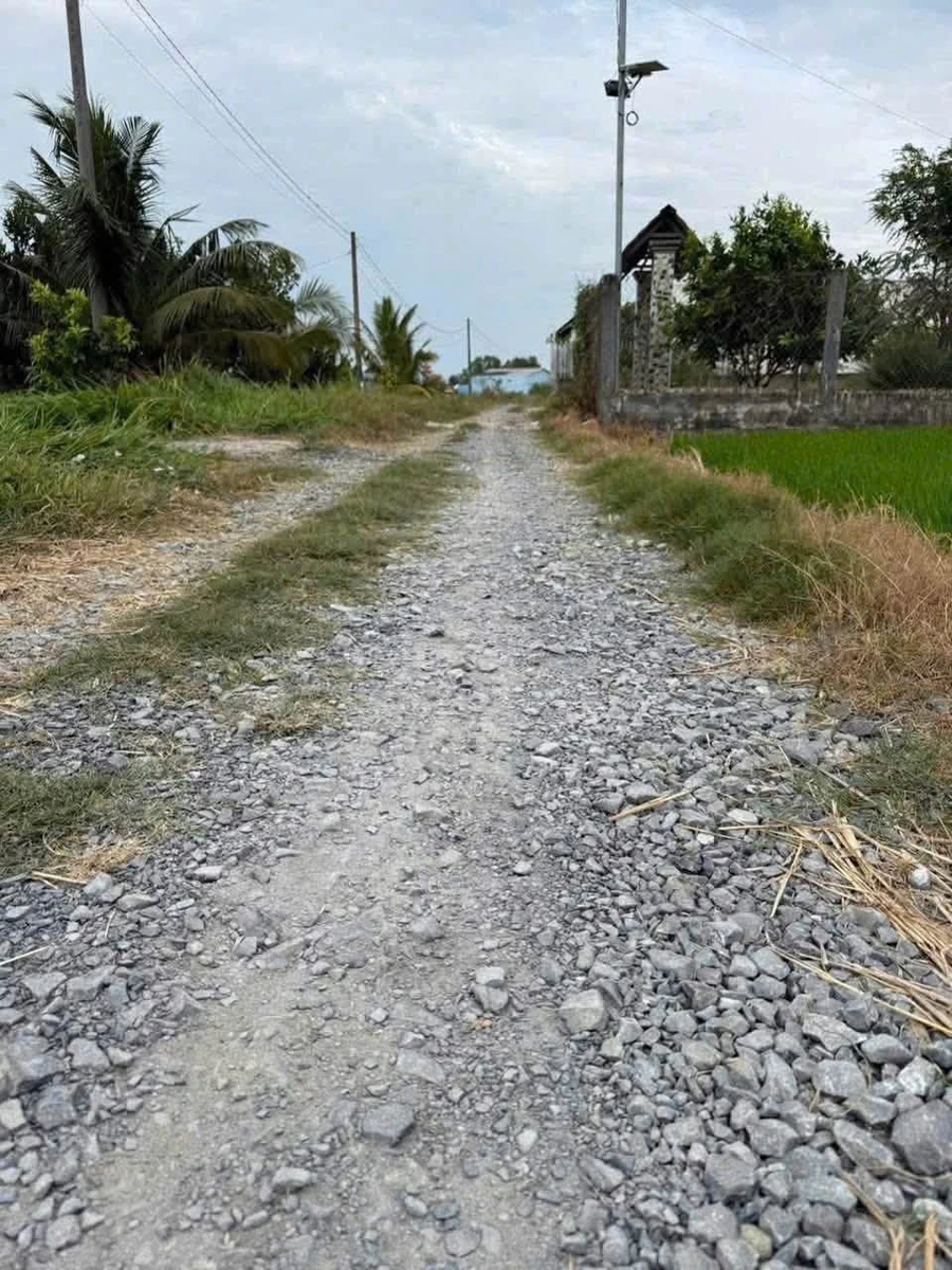 Bán đất thổ cư 5x30m Tân Bình, Long An 549 triệu - Ảnh thu nhỏ 2
