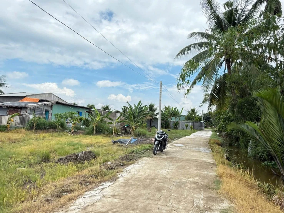 Bán đất lúa và vườn 4000m2 xã Vàm Cỏ, Tây Ninh, giá 450 triệu/1000m2 - Ảnh thu nhỏ 4