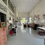 Bán nhà vườn mặt tiền 1399m² An Vĩnh Ngãi Tân An - Ảnh thu nhỏ 4