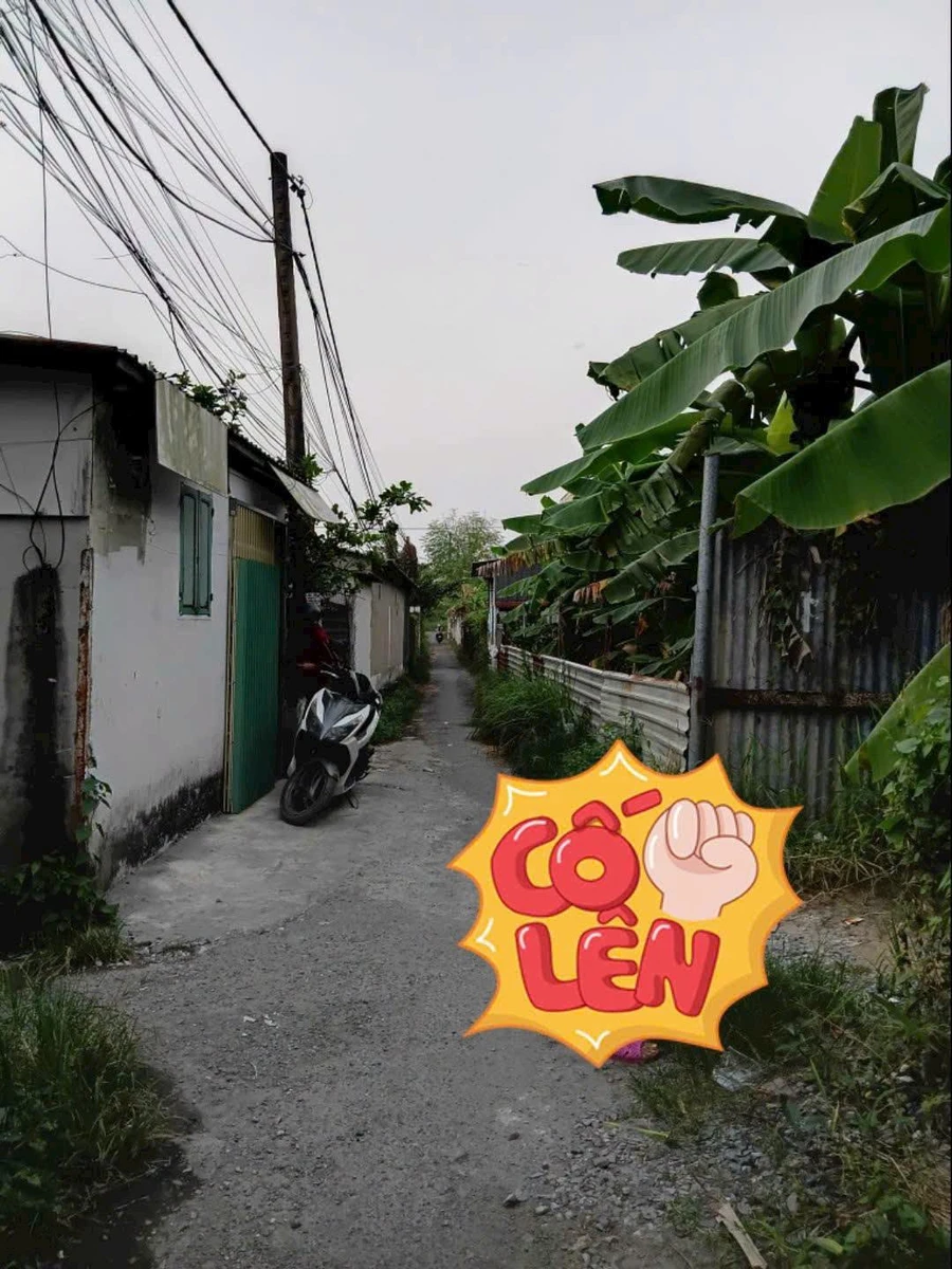 Bán đất CLN hẻm xe ba gác 190m² tại Xã Đa Phước, Bình Chánh - Ảnh thu nhỏ 2