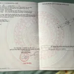 Khách có tin ko. Bán lô đất đẹp vô cùng giá siêu rẻ luôn tại xã Thành Long Châu Thành Tây Ninh - Ảnh thu nhỏ 10