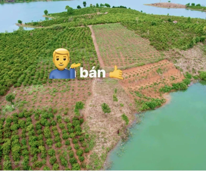 Bán đất xã Đăk Mar Quảng Ngãi giá tốt - Ảnh thu nhỏ 3