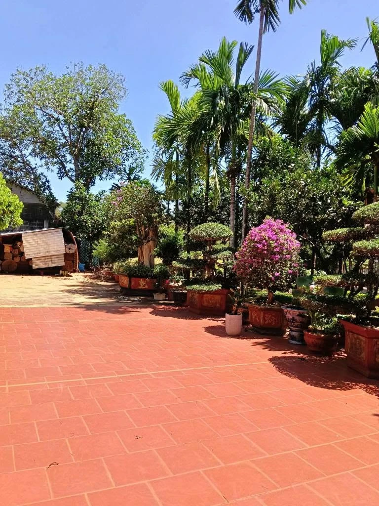 Bán nhà vườn mặt tiền Hoàng Quốc Việt Buôn Ma Thuột 4.372m² - Ảnh thu nhỏ 5