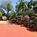 Bán nhà vườn mặt tiền Hoàng Quốc Việt Buôn Ma Thuột 4.372m² - Ảnh thu nhỏ 5