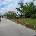 Bán đất thổ cư Xuân Ổ Huế 100m2 chỉ 465 triệu - Ảnh thu nhỏ 2