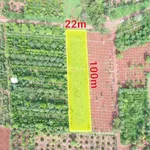 2,1 sào mặt tiền đường nhựa Vành Đai km18 nối tuyến QL14-QL26 2,73 tỷ - Ảnh thu nhỏ 1