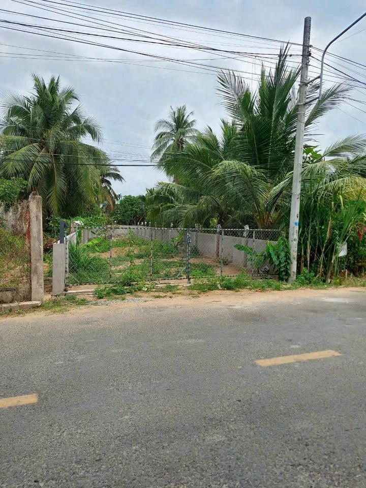 Bán đất mặt tiền Phường An Hội Bến Tre 225m2 - Ảnh thu nhỏ 5