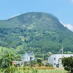 Bán đất Định An Hiệp An cửa ngõ Đà Lạt view đồi núi - Ảnh thu nhỏ 3