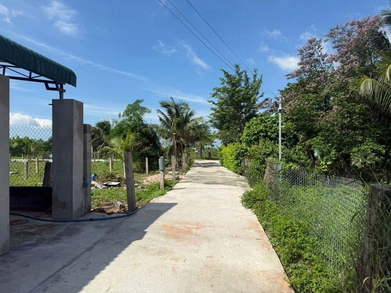 Bán đất thổ cư 100m² An Phú, Bình Thuận