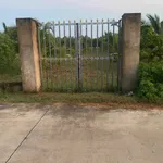 Bán đất lúa 1.500m² có 300m² thổ cư gần cổng chào cầu Trắng, đường Cao Thị Mai - Ảnh thu nhỏ 2