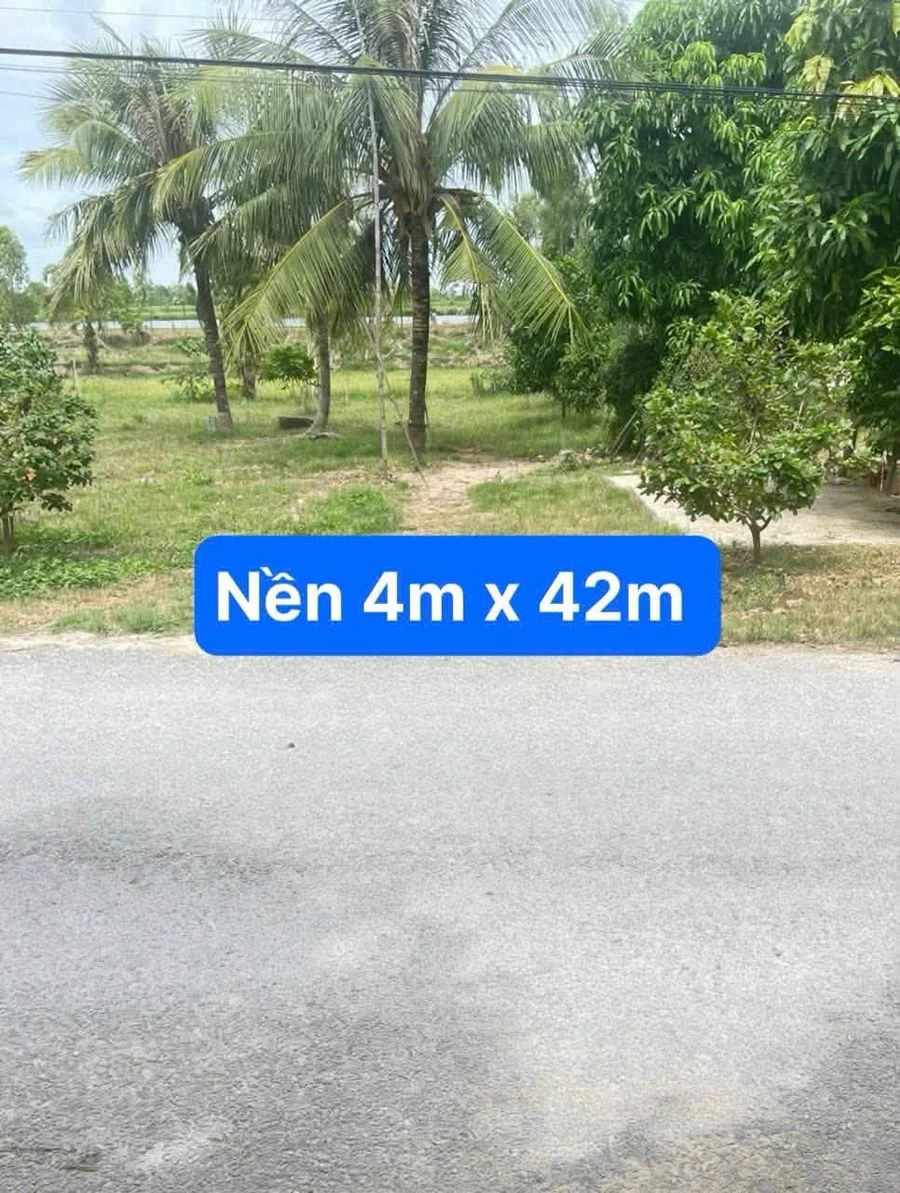 Bán 2 nền + nhà đường Gò Tre, Đồng Tháp, 336m² - Ảnh thu nhỏ 2