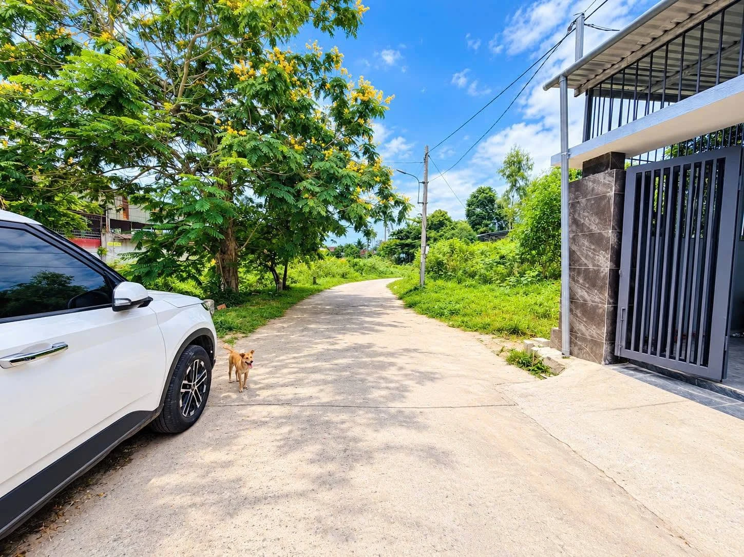 Bán đất mặt tiền Ngô Thế Vinh, Huế, 74m², 1 tỷ 70 triệu - Ảnh 1