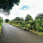 Bán đất Châu Đức 13.000m2 (200m thổ cư) 22 tỷ - Ảnh thu nhỏ 5