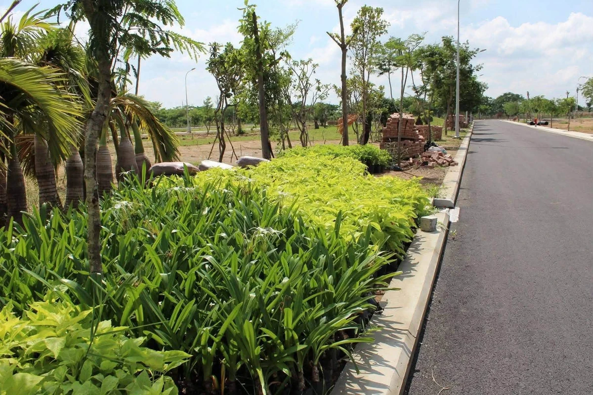 Bán đất 95m² full thổ cư Nhơn Đức Nguyễn Bình Nhà Bè - Ảnh thu nhỏ 2