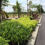 Bán đất 95m² full thổ cư Nhơn Đức Nguyễn Bình Nhà Bè - Ảnh thu nhỏ 2