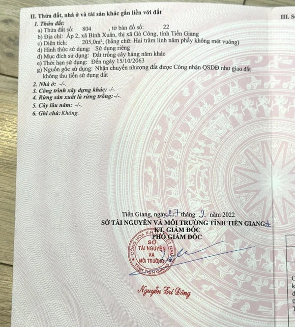 Hạ giá bán lỗ!!! Đất thổ cư xây nhà ngang 5m hoặc căn đôi ngang 10m