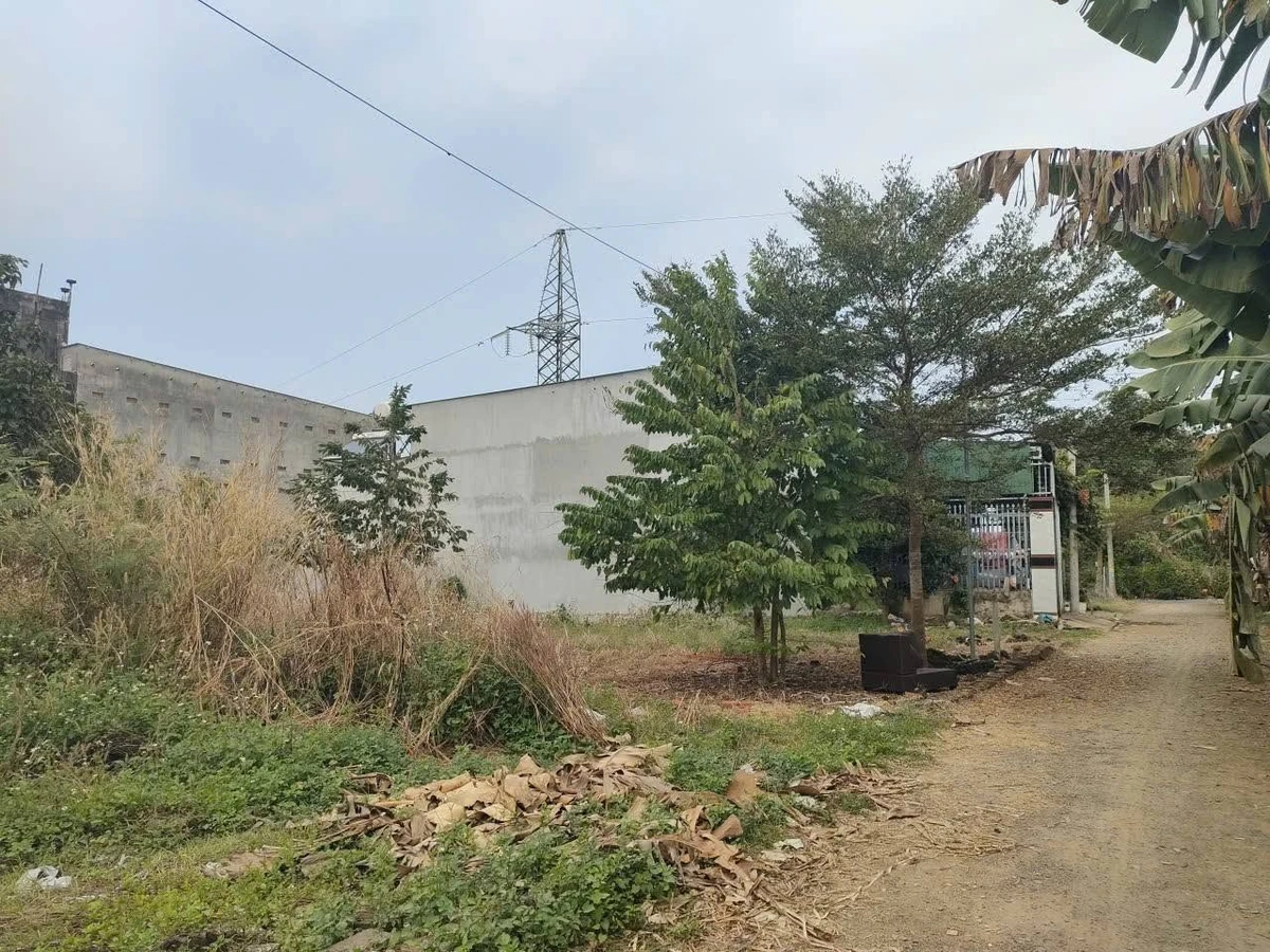 Bán nền Phú Vinh 5,25m² sổ thổ cư 1,1 tỷ - Ảnh thu nhỏ 5