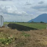 Bán đất 5000m2 Dương Minh Châu Tây Ninh 800 triệu - Ảnh thu nhỏ 2