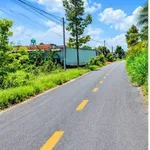 Bán 3 lô đất mặt tiền Rừng Sến 155m² Đức Hòa - Ảnh thu nhỏ 4