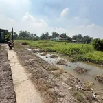 Bán 2400m² đất lúa sổ hồng Tây Ninh 750tr/1000m² - Ảnh thu nhỏ 3