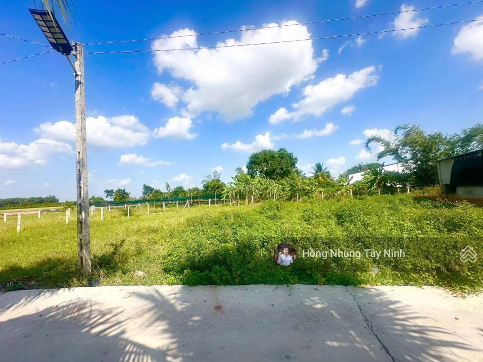 350tr - Gần Chợ Lộc Ninh, Tây Ninh đường ô tô 4m, 5x27m full thổ cư, sổ hồng riêng - Ảnh thu nhỏ 5