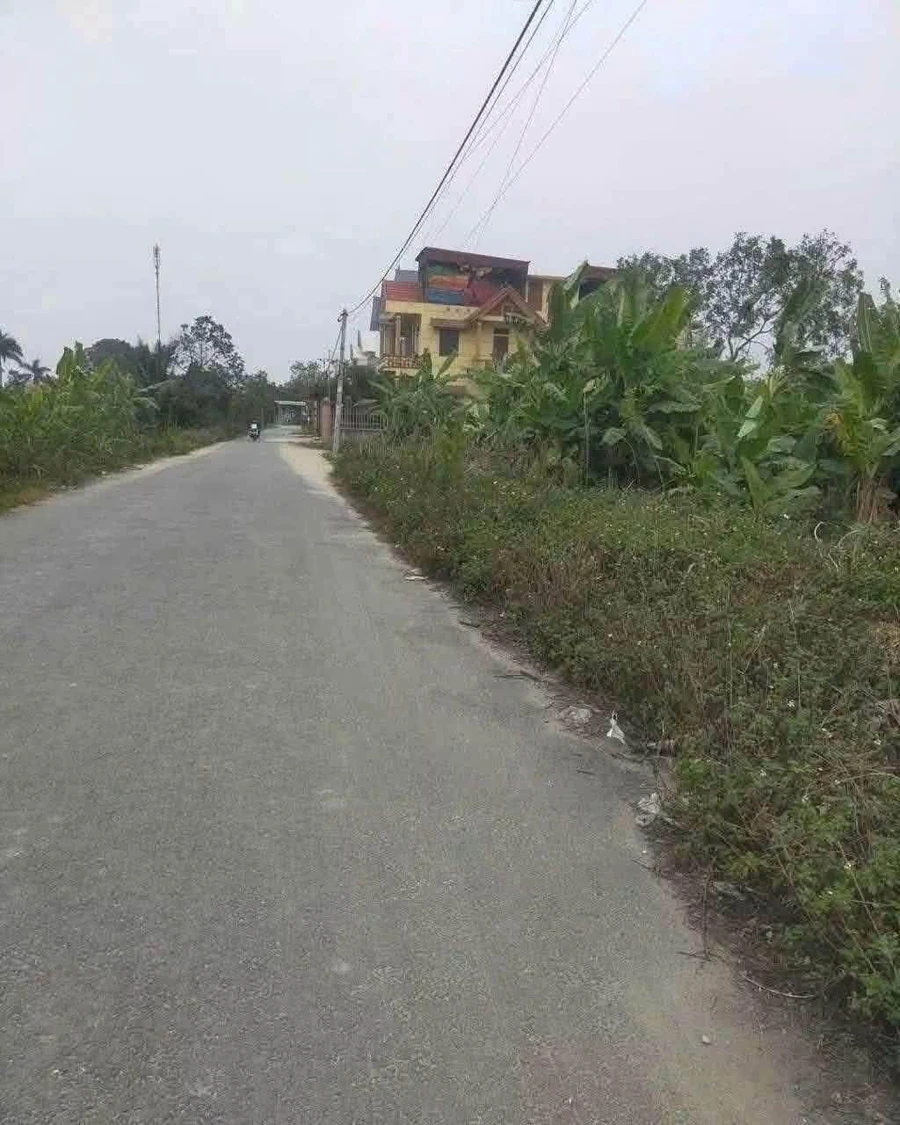 Bán lô đất giãn dân 100m2 mặt đường liên xã thôn An Cư, Đức Xương, Gia Lộc, Hải Dương - Ảnh 1