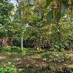 Bán đất mặt tiền 610.7m2 Đông Phước Cần Thơ 750 triệu - Ảnh thu nhỏ 1
