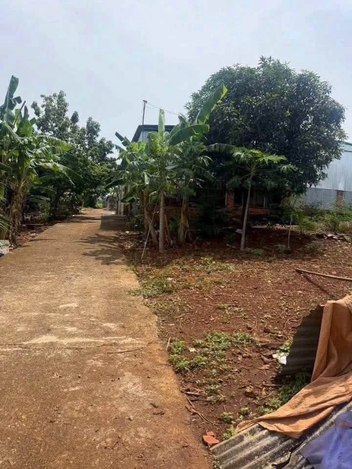 Bán lô đất 115m² hẻm Nguyễn Thị Định, Quận 11, 1 tỷ 190 triệu - Ảnh thu nhỏ 3