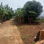 Bán lô đất 115m² hẻm Nguyễn Thị Định, Quận 11, 1 tỷ 190 triệu - Ảnh thu nhỏ 3
