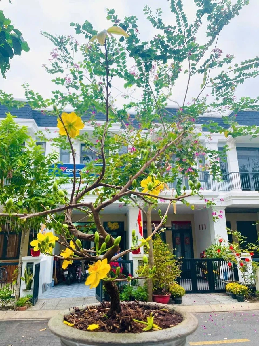 Bán nhà phố full nội thất 4x17,5m, 1 trệt 2 lầu, KDC Thắng Lợi Central Hill, Bến Lức, Long An - Ảnh thu nhỏ 2