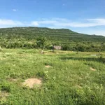 Bán 26.000 m2 đất nông nghiệp Bình Thuận 190 triệu/1000m2 - Ảnh thu nhỏ 5