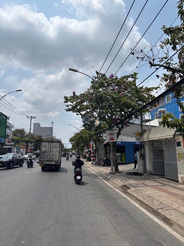 Bán đất 40,6m² sổ riêng đường số 5, Trường Thọ, Thủ Đức - 2,55 tỷ