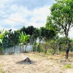 Nhà vườn 412m² bán 2 tỷ 568 triệu Liên Xã - Ảnh thu nhỏ 4