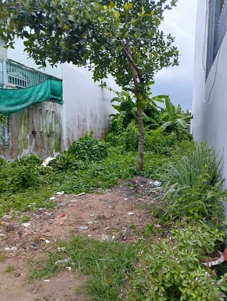 Bán đất thổ cư 100m² Cần Thơ 1 tỷ 390 triệu - Ảnh 1
