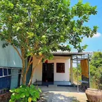 Bán lô đất thổ cư mặt tiền Lê Văn Tưởng 250m² Tân An - Ảnh thu nhỏ 1
