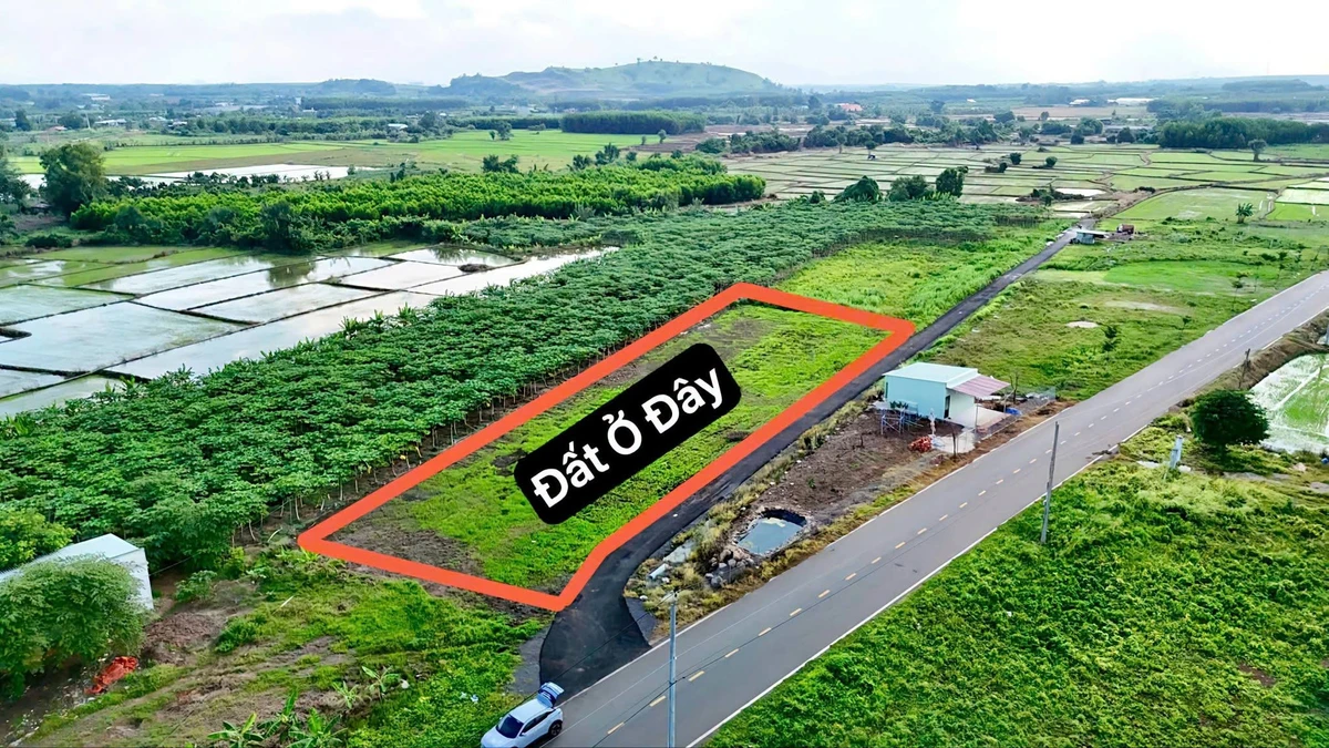 Bán đất 142m2 sát ĐT.992, Đất Đỏ, Bà Rịa - Vũng Tàu - Ảnh thu nhỏ 4
