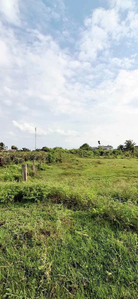 Bán đất cây trồng 180m² sổ riêng gần Phan Thiết - Ảnh thu nhỏ 3
