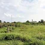 Bán đất cây trồng 180m² sổ riêng gần Phan Thiết - Ảnh thu nhỏ 3