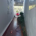 Bán nhà vườn 365.8m2 Eakao, trồng rau, nuôi gà - Ảnh thu nhỏ 2