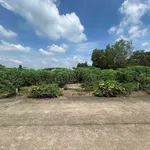 Bán đất Phú Giáo, Bình Dương 580.8m² - Ảnh thu nhỏ 2