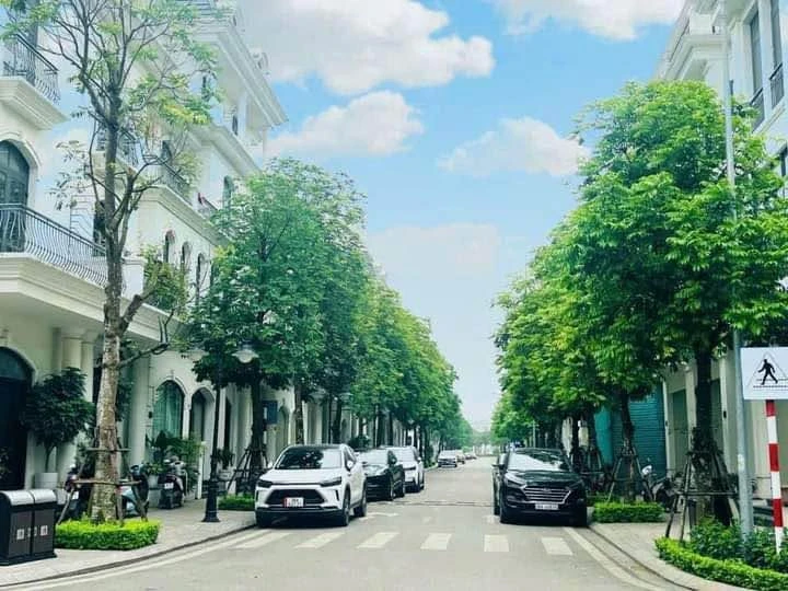 Bán biệt thự liền kề Hoa Hồng 87.5 m2 tại Vinhomes Thanh Hóa 7 tỷ - Ảnh 1