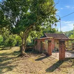 Bán đất vườn sinh thái Ea Kao 3.866m² giá 8 tỷ - Ảnh thu nhỏ 5