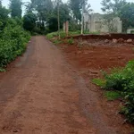 Bán lô đất 560m² nông nghiệp Phường Ea Kao, giá 480 triệu - Ảnh thu nhỏ 2