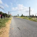 Chính chủ bán gấp 5600m2 đường Tỉnh 881 nhựa 10m, cách Phà Mỹ An 1km,giá 1tr160/m2 - Ảnh thu nhỏ 20