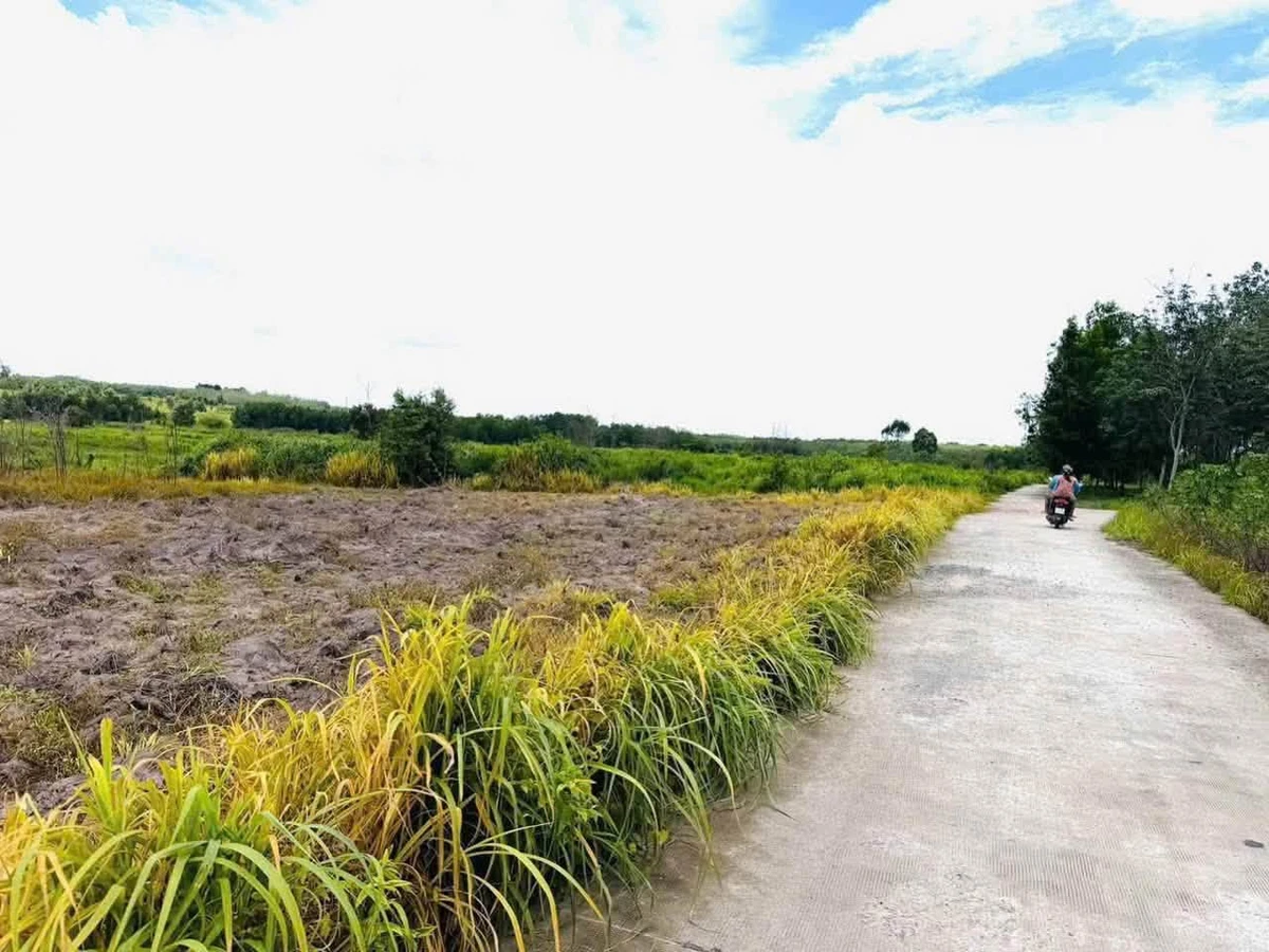 Bán đất Phường Minh Hưng 1000m2 - Ảnh 1