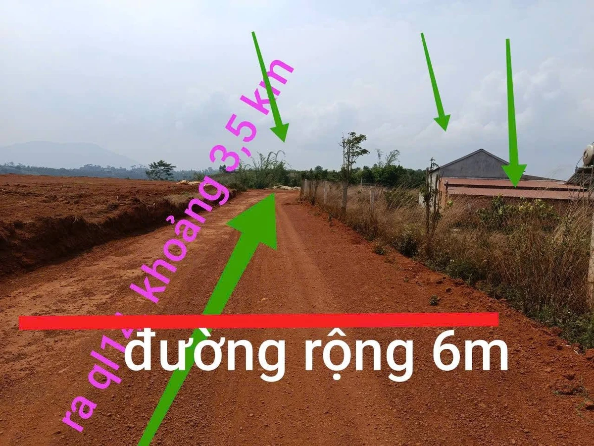 Bán đất 3000m2 mặt tiền lớn Xã Đức An, giá 300 triệu - Ảnh thu nhỏ 2